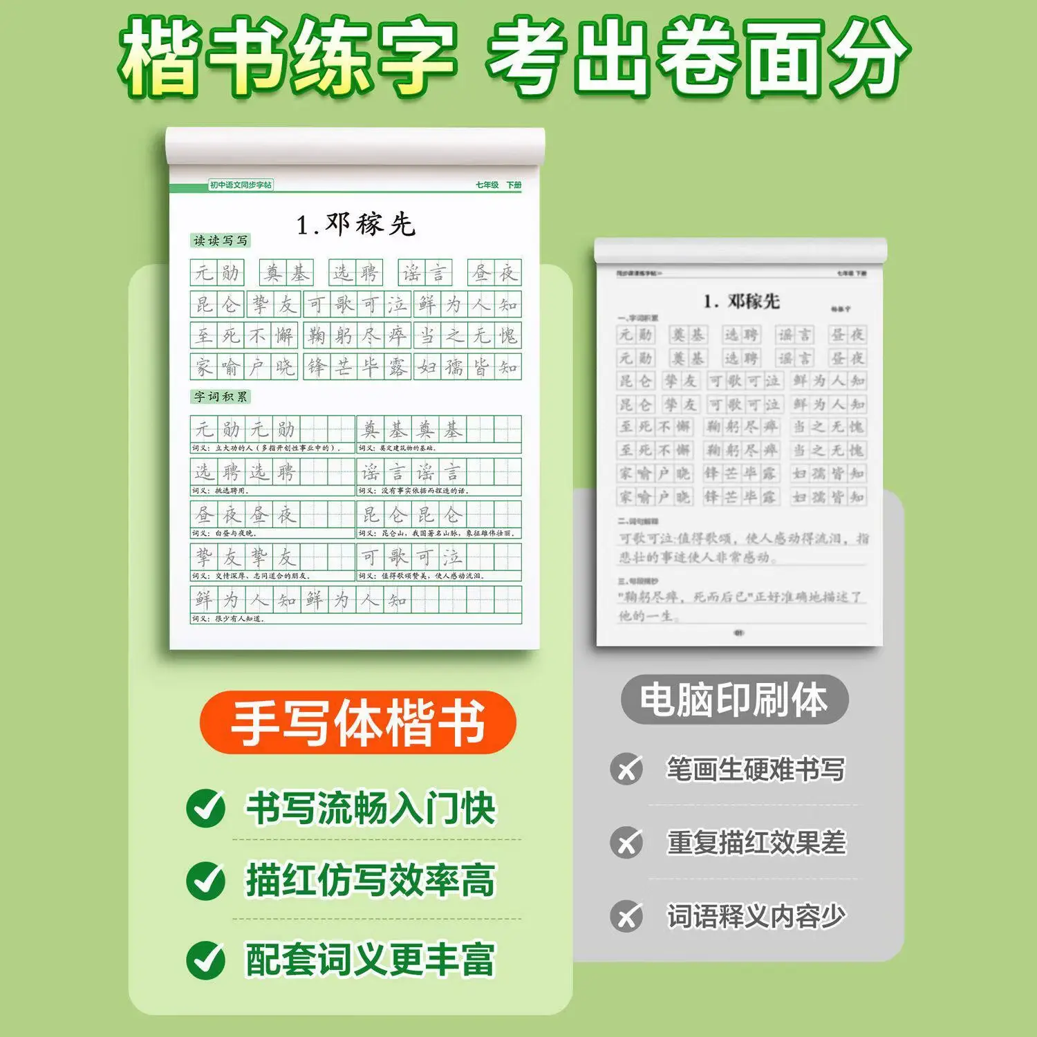 金枝叶七年级八年级同步练字帖上册下册初中生语文字帖人教版小升初每日一练初一初二楷书正楷描红练字本 七年级上册同步字帖