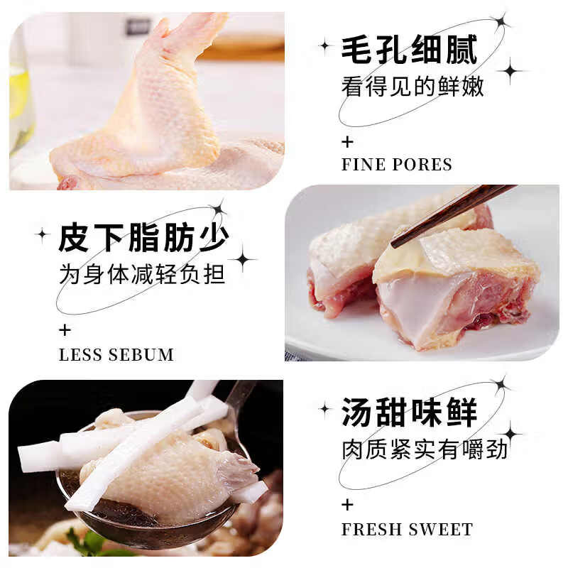 天农清远鸡皇后鸡 长天龄慢养老母鸡 汤鲜味美 月子炖汤生鲜食材 皇后鸡1只+清远鸡切块1盒
