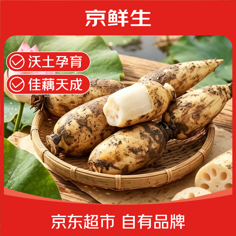 京鲜生白玉水果莲藕净重3斤 29.9元 - 86线报
