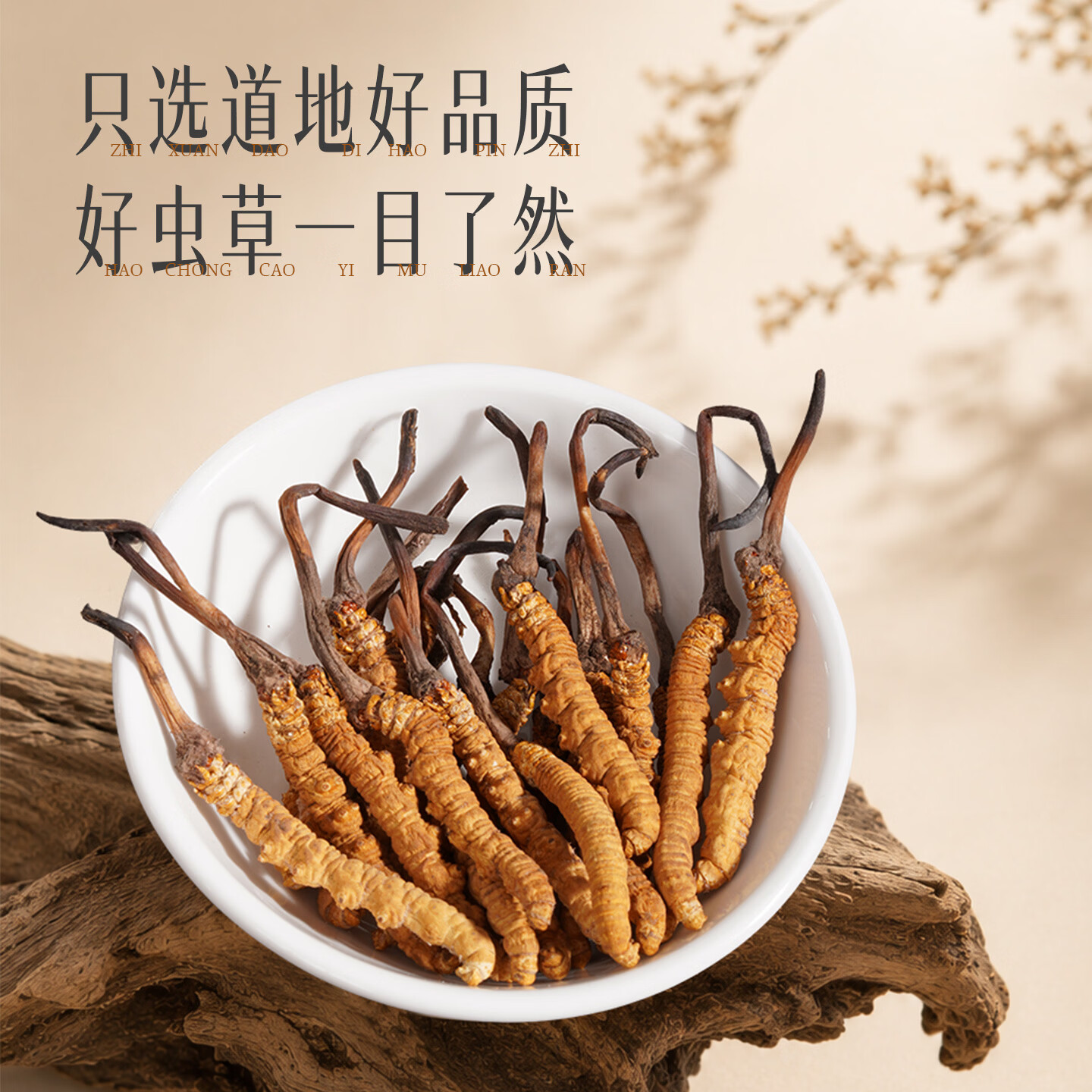 胡庆余堂野生冬虫夏草典藏木质礼盒25g天号约3根/克那曲可溯源中秋节礼品 约3根/克 25g*1盒 【高档典藏木盒】