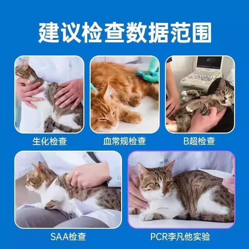 44I1猫腹传针剂油剂干性湿性传腹片剂大肚子腹水腹膜炎精神食欲差 油剂 6ml*1瓶 【加强版】
