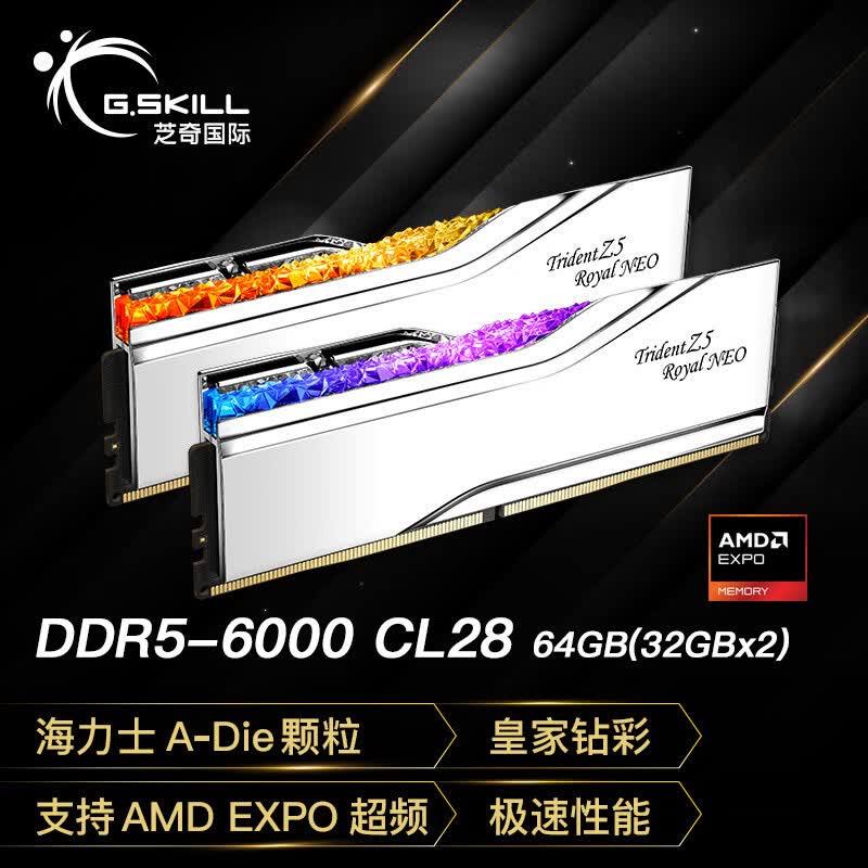 G.SKILL芝奇（G.SKILL）64GB(32GBx2)套装 DDR5 6000频率 台式机内存条-皇家戟EXPO版RGB灯条-银色/C28