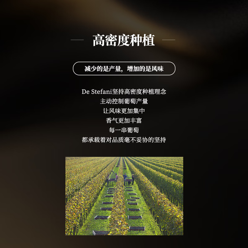 DE STEFANI意大利原瓶进口DOC青苹果香女生聚会婚礼白葡萄起泡酒750ml*1瓶 6瓶装