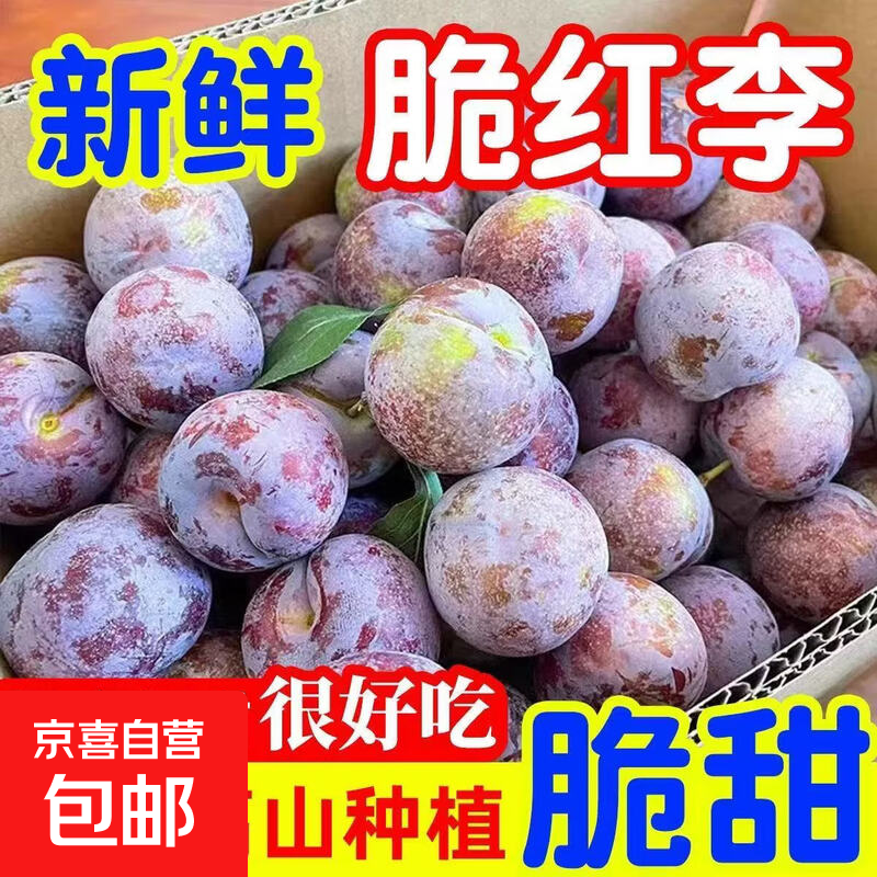 京喜加四川五月脆脱骨李【闪送多地次日达】凤凰李子新鲜水果送礼品物盒 甄选果【单果15g+】 1斤装【尝鲜】