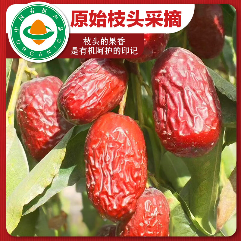 天边小宛新疆且末有机灰枣500g特级红枣袋装即食零食新疆红枣干果休闲食品 特级灰枣500g*2