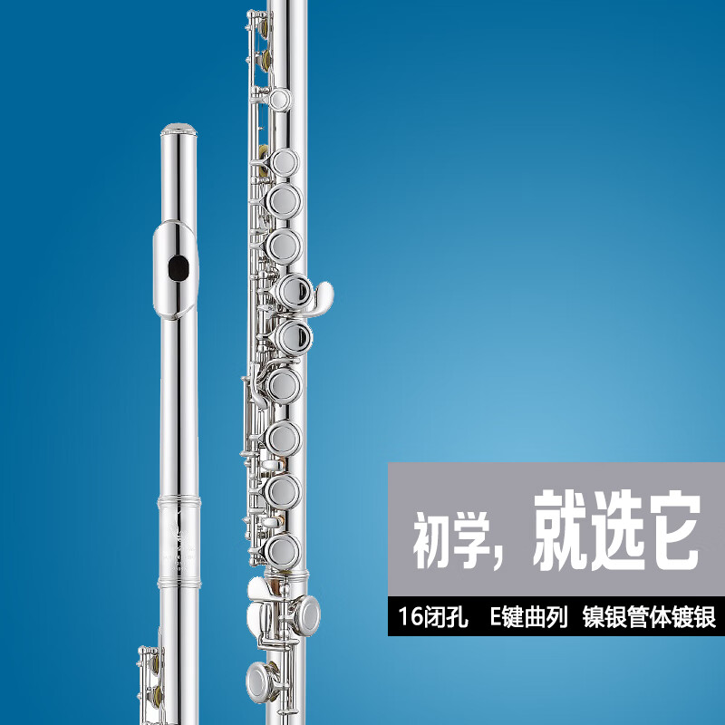 杰登birdsongs帕克长笛乐器儿童初学者专业通用c考级fl2042长笛