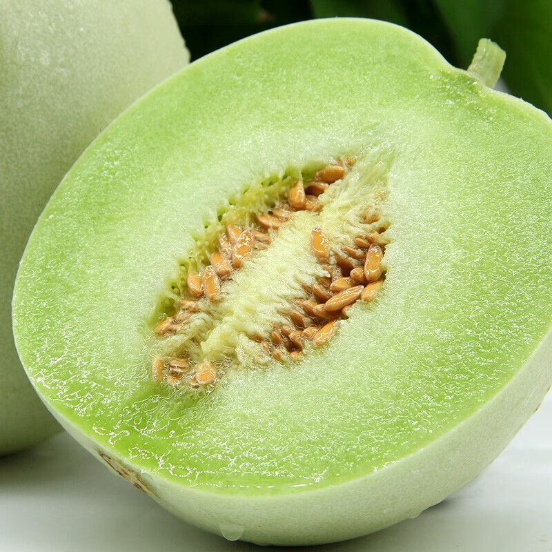 如何查看瓜的历史价格|瓜价格历史