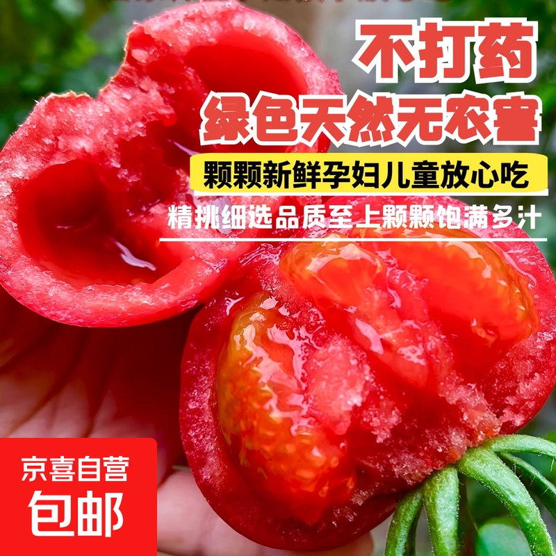京喜自营正宗山东普罗旺斯番茄 新鲜蔬菜农家自种沙瓤自然熟 普罗旺斯2.25斤尝鲜装