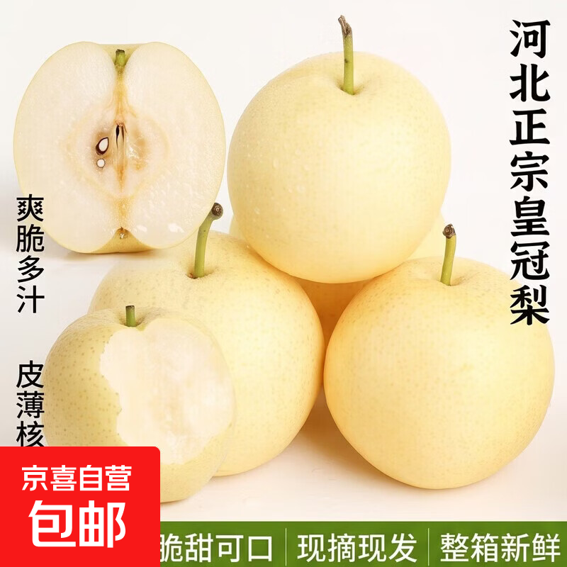 正宗河北皇冠梨产地直发脆甜多汁梨子整箱新鲜新3 带箱4斤净重3.5斤单果220g