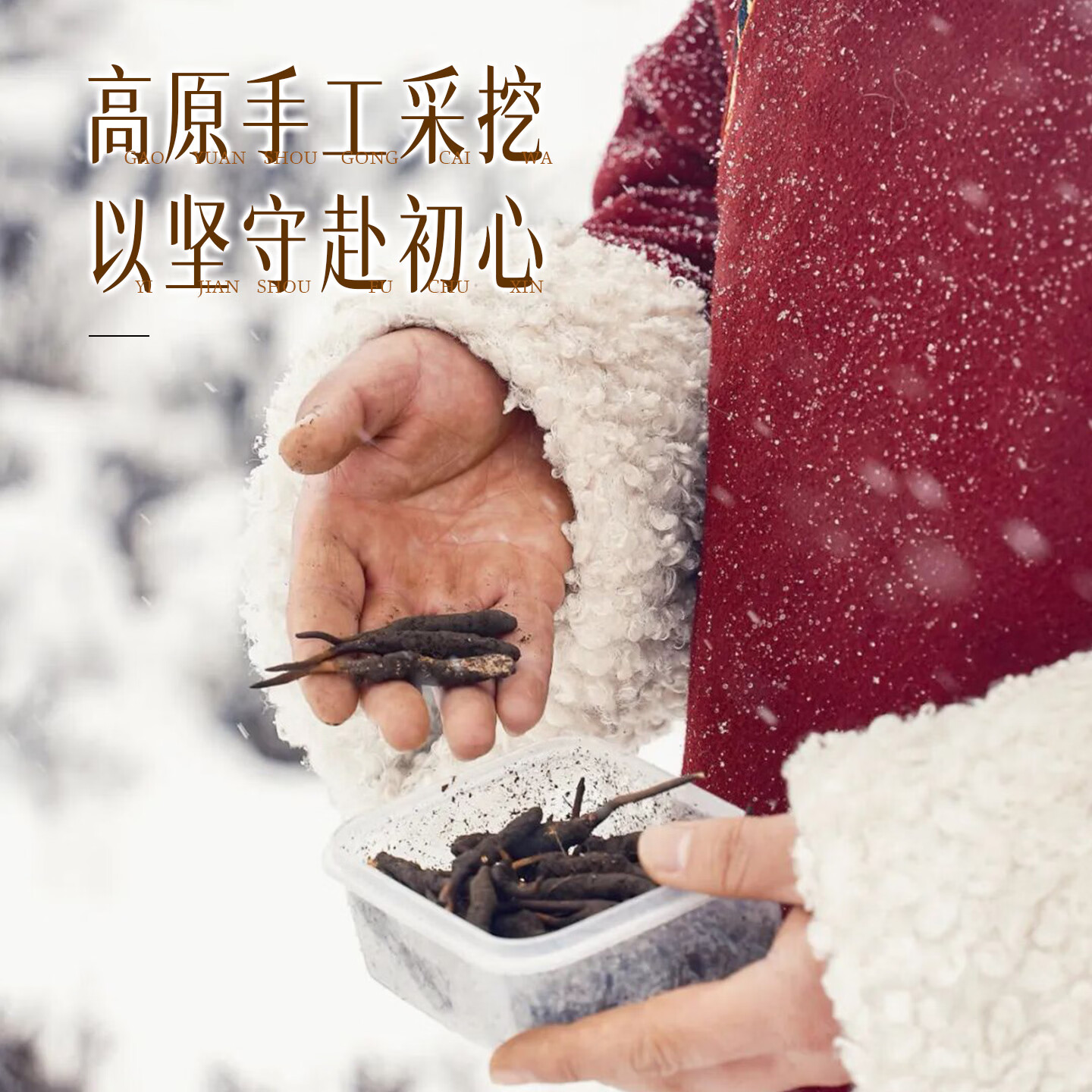 胡庆余堂野生冬虫夏草典藏木质礼盒25g天号约3根/克那曲可溯源中秋节礼品 约3根/克 25g*1盒 【高档典藏木盒】