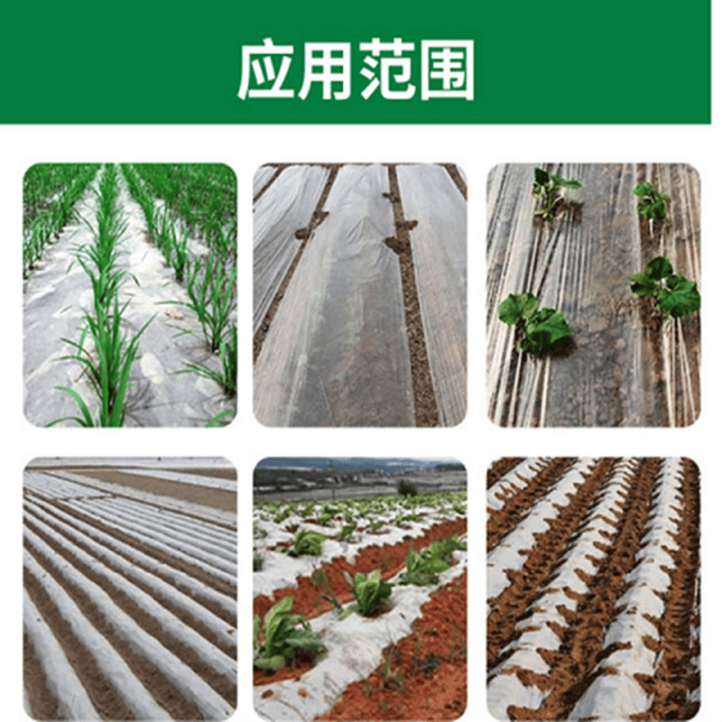 薄膜农用育苗种菜小拱棚膜大棚装修防尘塑料布整卷薄膜 白地膜20斤1