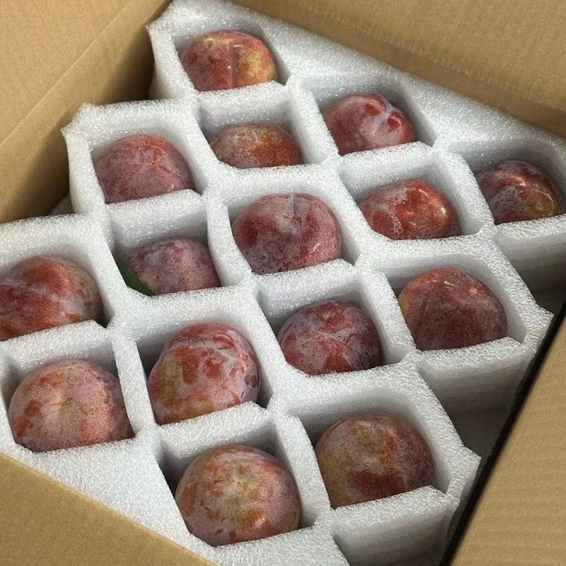 鲜珥家【顺丰发货】古田正宗红心芙蓉李大果4斤装当天现摘现发产地直发 古田芙蓉李大果 单果50-70g【4斤彩箱装】