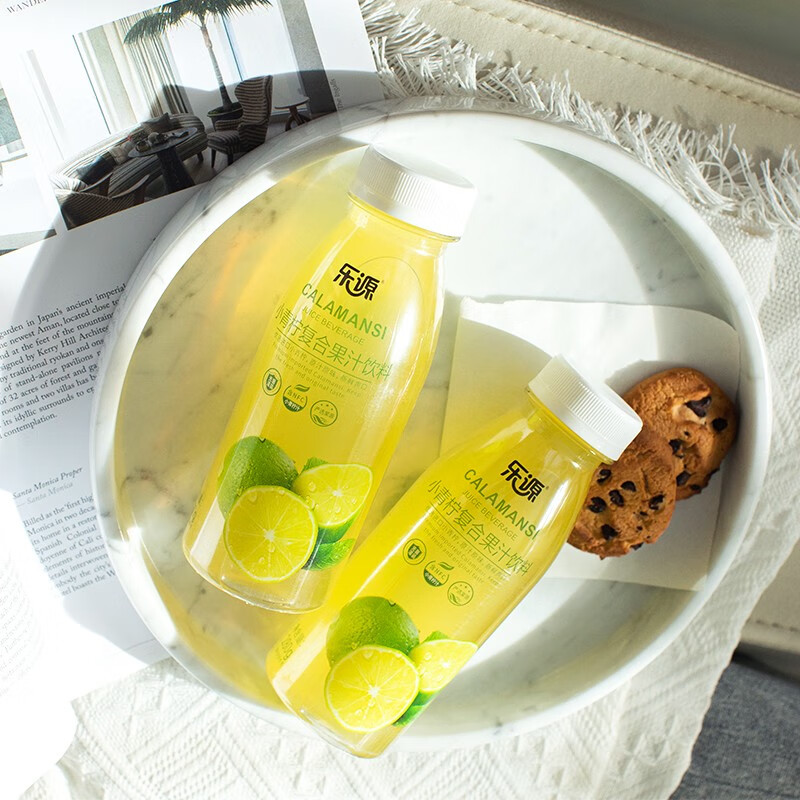 乐源小青柠汁果汁饮料280g含VC聚餐饮品 小青柠汁280g*8瓶