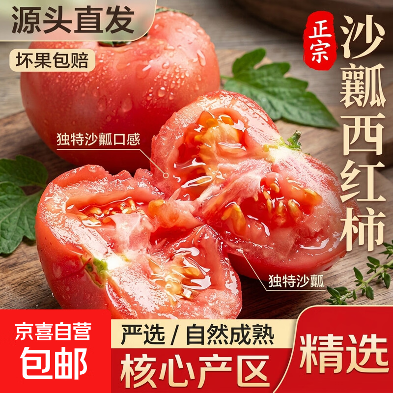山西现摘沙瓤西红柿番茄可生吃新鲜水果蔬菜普罗旺斯减脂源头直发 严选果【老农手挑】 5斤