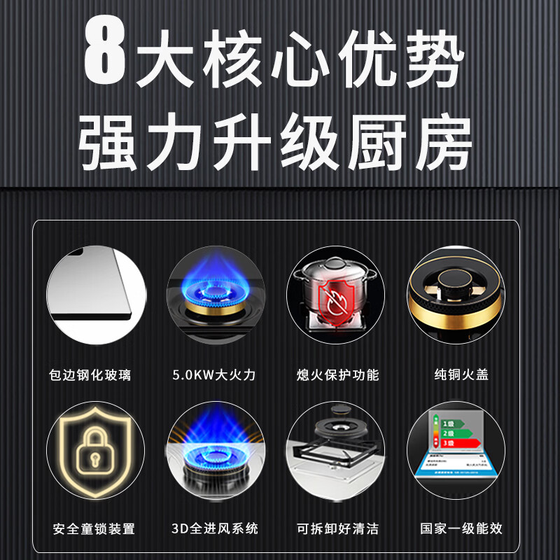 UKS德国UKS家用定时双灶猛火燃气灶5.2KW大火力嵌入式燃气灶煤气灶液化气炉具 液化气20Y