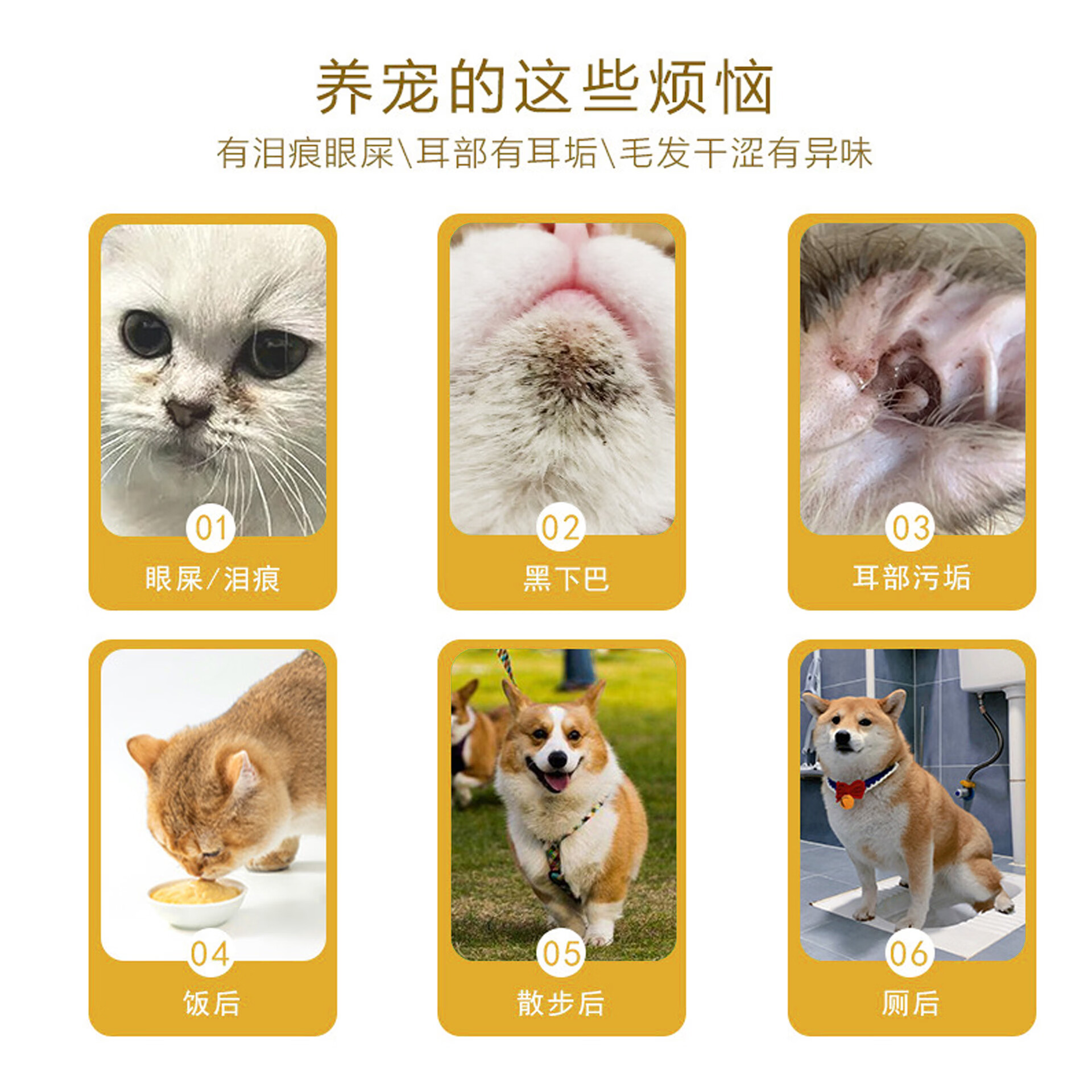 简禾家用清洁湿巾80片便携清洁专用去泪痕除臭身体免洗湿纸巾 【宠物清洁湿巾80抽/包】随机2包