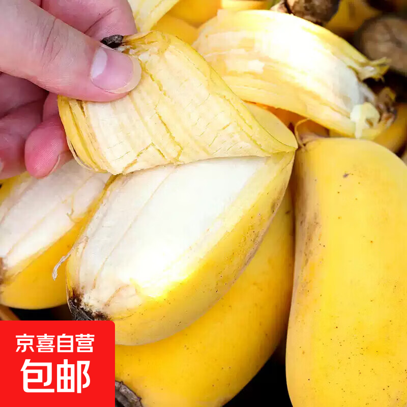 新鲜现摘小米蕉带箱8斤 13.99元 - 86线报