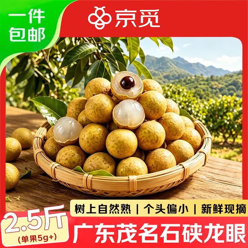 京觅广东茂名石硖龙眼净重2.5斤 单果5g+ 带枝发货 储良桂圆源头直发
