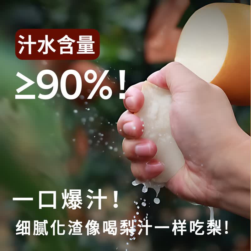 山姆大叔山东正宗秋月梨【顺丰多地次日达】新鲜梨子雪梨应季水果礼盒中秋 【金奖级-鲜甜脆】臻选果丨250g+ 5斤装【爆款80%买-狠划算】净4.5斤