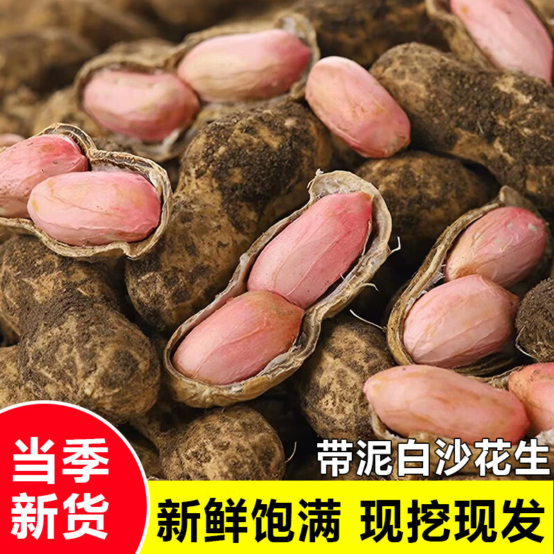 2026新鲜带壳花生应蔬菜农家自种鲜花生烧烤水煮下酒菜产地直发 3斤花生