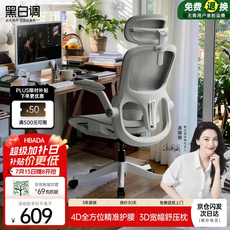 黑白调P2Pro二代人体工学椅电脑椅办公椅电竞椅子人工力学座椅4D腰托