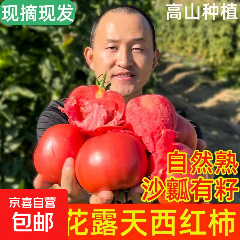 【东东买菜】现摘山东农家西红柿自然熟新鲜普罗旺斯沙瓤大番茄 1斤 【精选超市同款装】