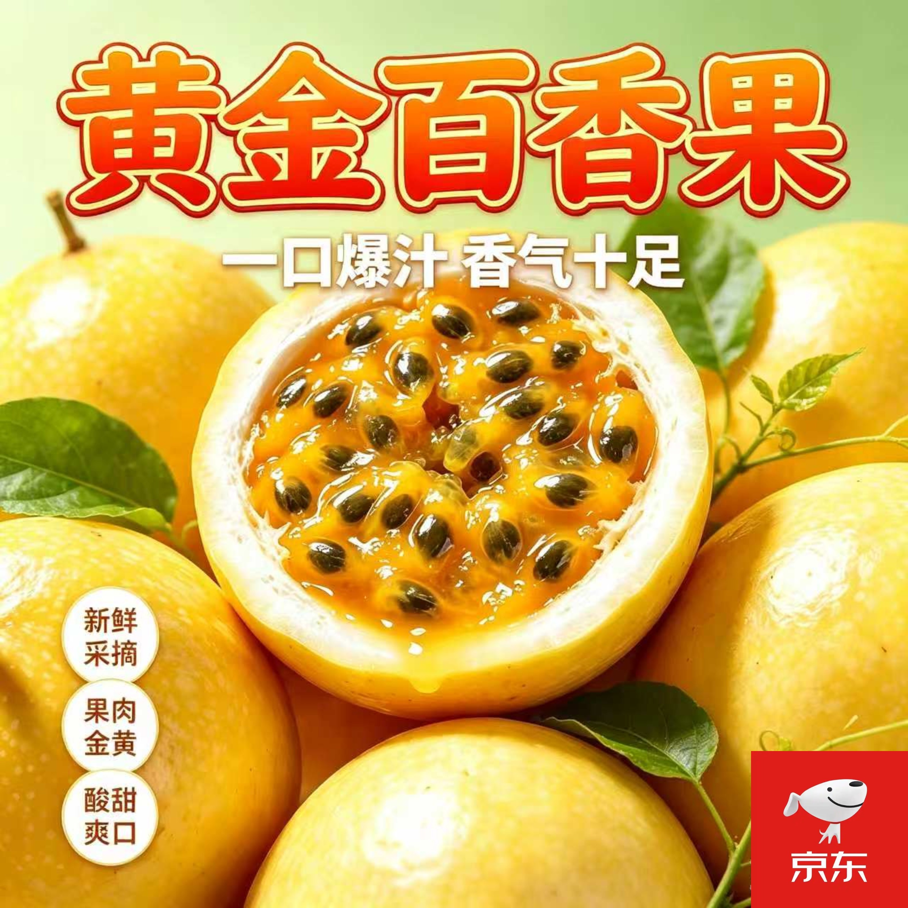 武平钦蜜9号黄金百香果新鲜水果当季现摘百香果整箱包邮 【新鲜现摘-尝鲜】3斤(大果)单果60g-70g