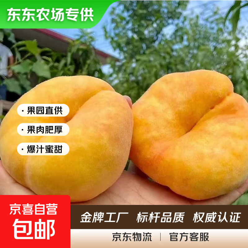 【东东农场专供】山东黄金毛蟠桃扁桃当季时令孕妇水果沂蒙特产 【热卖大果】颗颗甄选150g+ 带箱5斤净重4.6斤+