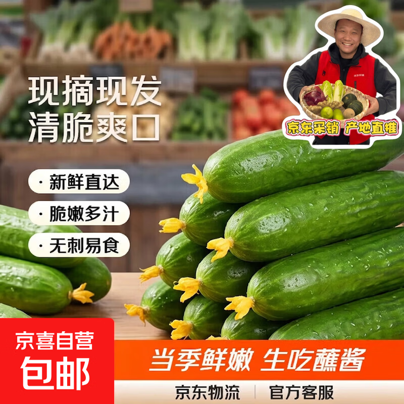 山东水果黄瓜新鲜生吃小黄瓜青瓜蔬菜时令蔬菜即食 黄瓜新净重 5斤 5斤