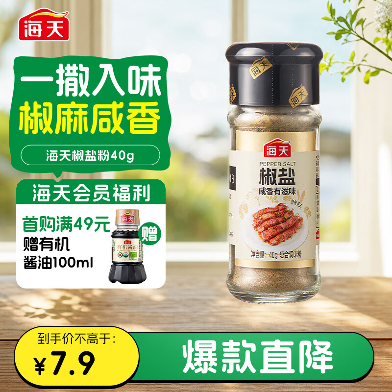 海天 椒盐粉 40g 烧烤煎炸 基围虾皮皮虾烧烤撒料蘸料调料