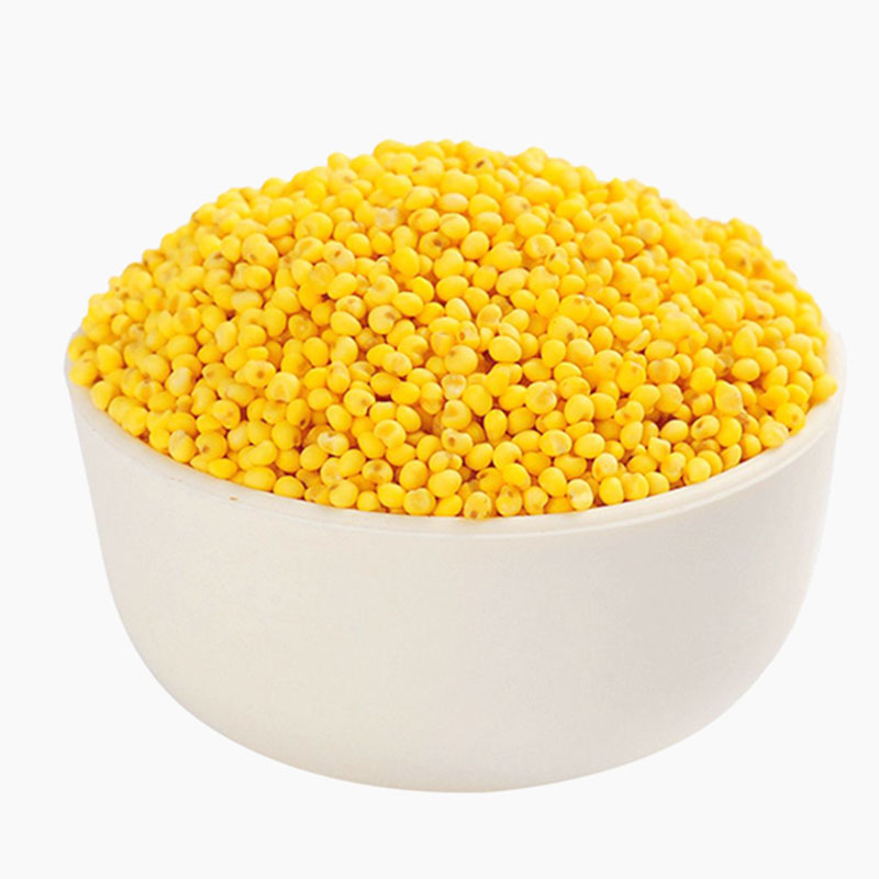 福子恒蔚县黄小米粮食小米500g新米农家小黄米粥 早餐小米五谷杂粮