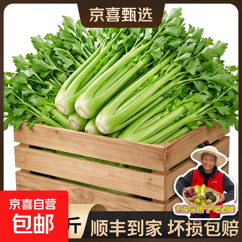 【瘦身减脂】山东大西芹水果西芹去叶新鲜蔬菜新鲜榨汁 带箱：2斤