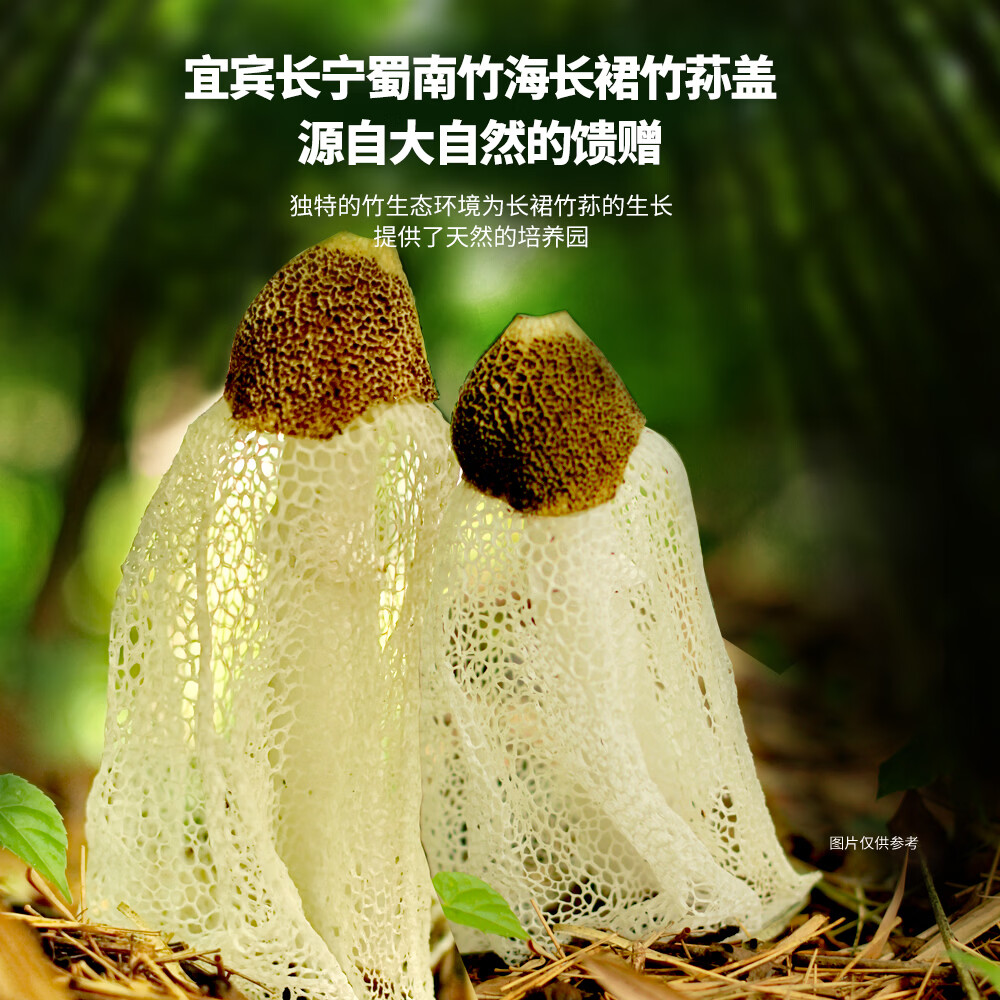 好巴食爆汁山珍豆腐非转基因大豆独立包装休闲即食零食豆干办公出游便携 虫草花炖鸡味&竹荪菌汤味700g*2袋
