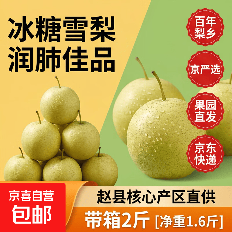 京喜加赵县百年梨乡白梨黄冠梨【京严选】核心产区小吊梨汤冰糖梨润肺 带箱2斤[净重1.6斤]单果250g 黄冠梨 果园直发 京东快递