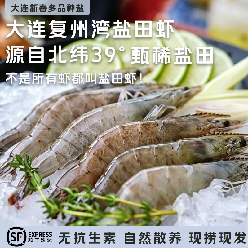 正宗盐田虾大连海鲜特产复州湾盐田虾鲜活速冻大虾急速锁鲜 复州湾盐田虾【40-50】 1500g(净重)