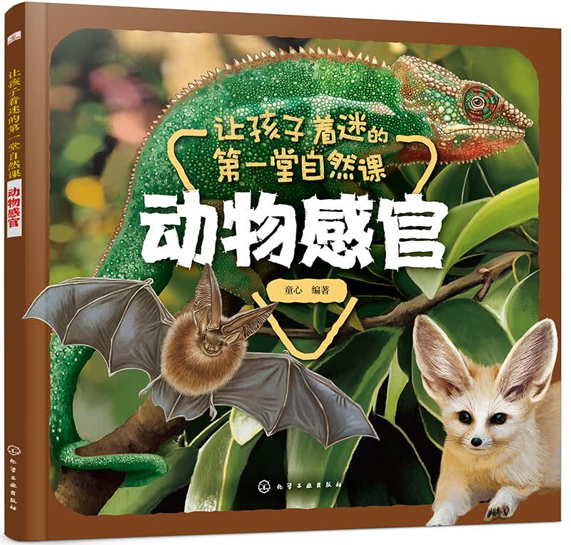 让孩子着迷的第一堂自然课——动物感官 