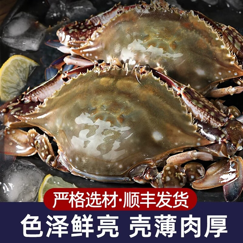 【保鲜不保活】山姆东东农场 梭子蟹鲜活大螃蟹舟山飞蟹 中秋送礼 精选梭子蟹3斤【5-7两/只,约4-7只】