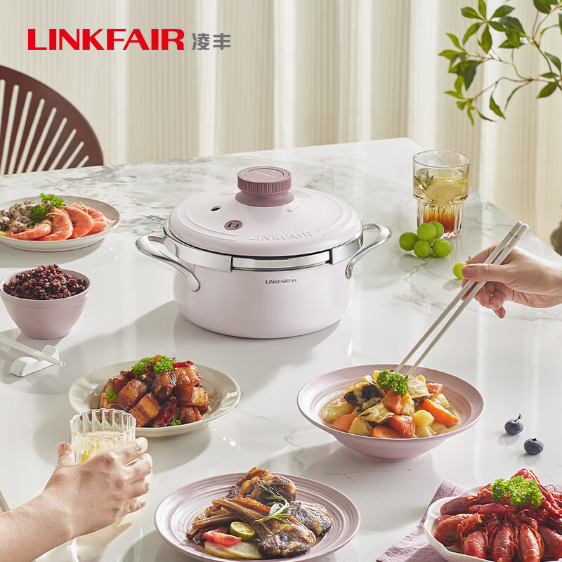 凌丰(LINKFAIR)LINKFAIR/凌丰居家厨房必备4升星河系列304高压锅多功能炖煮焖煮 原色 22cm