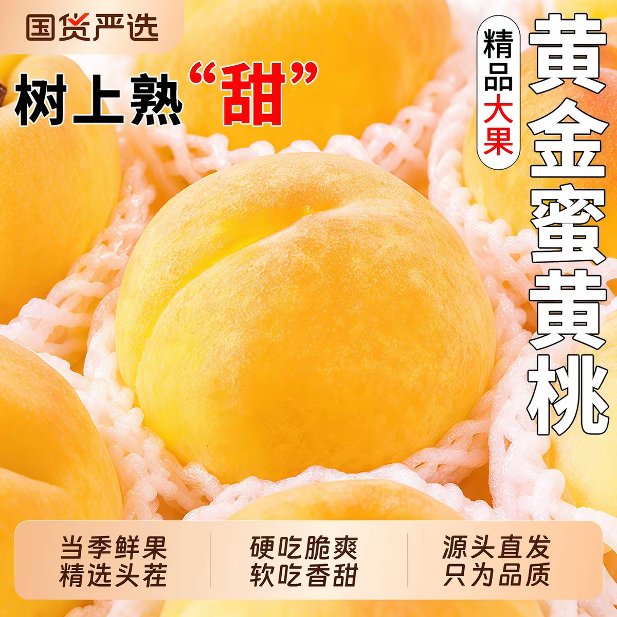 飘香果度新鲜黄桃水果新鲜山西黄毛桃黄金蜜桃子脆甜应季时令生鲜 5斤装丨人工手选丨净重4.5斤