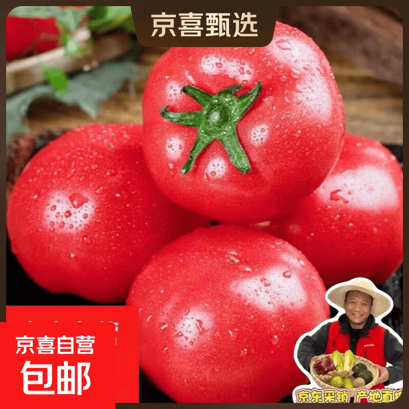 西红柿水果沙瓤番茄多汁新鲜蔬菜生鲜减肥减脂可生吃 西红柿 2斤 尝鲜装
