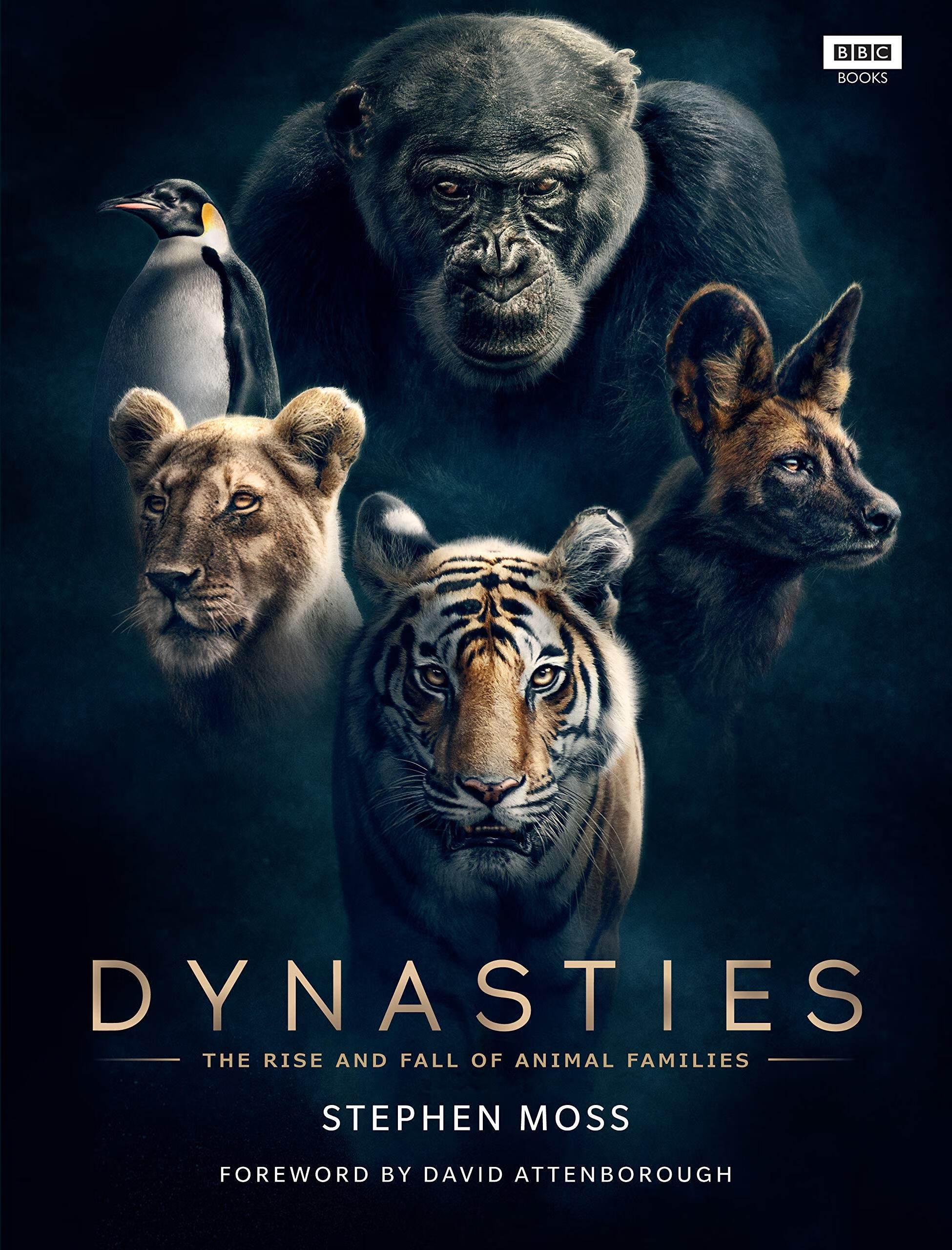 dynasties