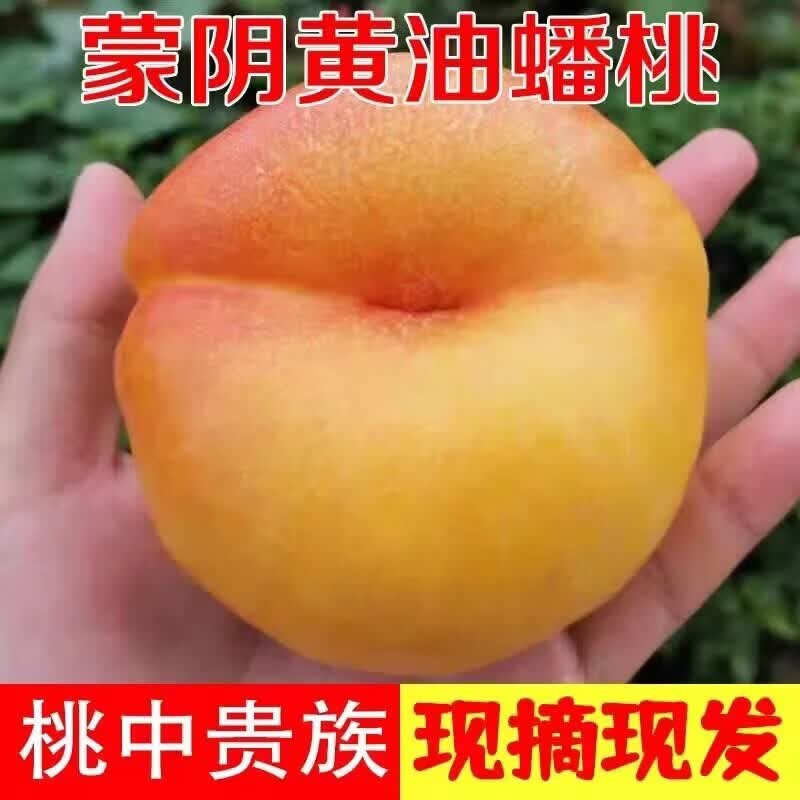 【黄油蟠桃】 蒙阴蜜桃 自家果园水果 现摘现发 新鲜脆甜 蟠桃 4斤(按重量计,会有空格) 京东折扣/优惠券