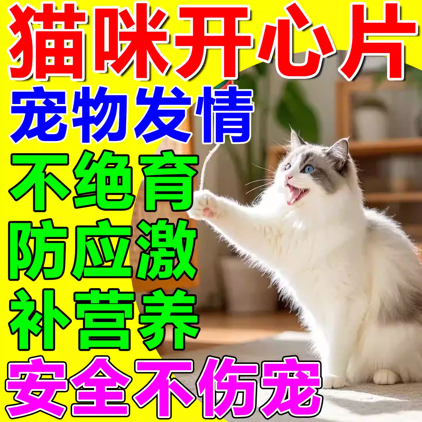 鑫非凡猫咪发情抑制片公母猫防乱叫专用抑情片宠物禁情片终身避孕绝育用 买五送三【永不再犯】