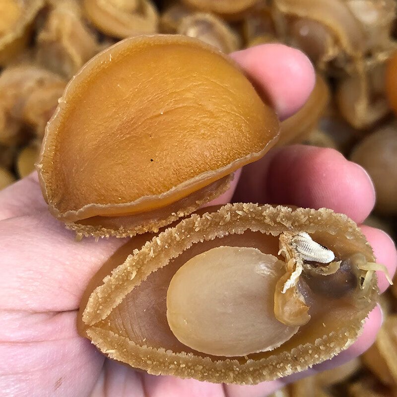 禾澹一斤约30头黄金鲍鱼干货产地直销大连海鲜盘菜佛跳墙红烧