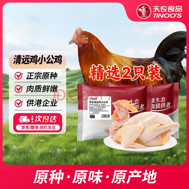 天农清远鸡小公鸡 生鲜整鸡肉鲜嫩爽口土鸡 清蒸烤鸡辣子鸡食材 清远小公鸡800g*2只 京东折扣/优惠券
