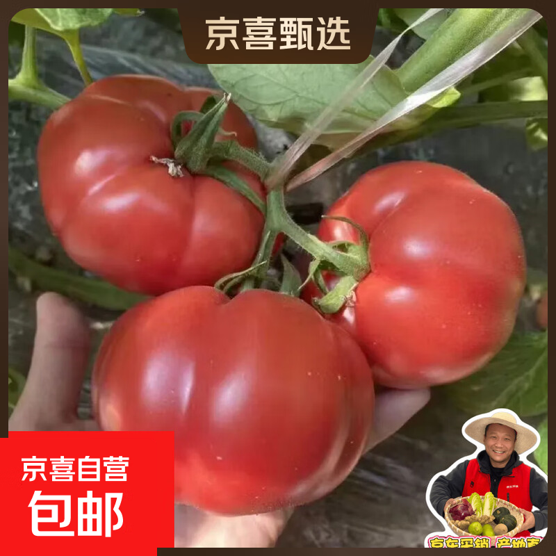 普罗旺斯西红柿4斤带箱 净重3.7斤 3.9元 - 美泡泡