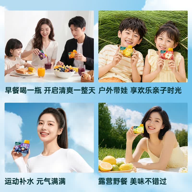碧林苹果汁饮料100ml*6盒纯果汁100%无添加鲜榨浓缩儿童果汁便携整箱 【蓝莓汁】100mL*6盒