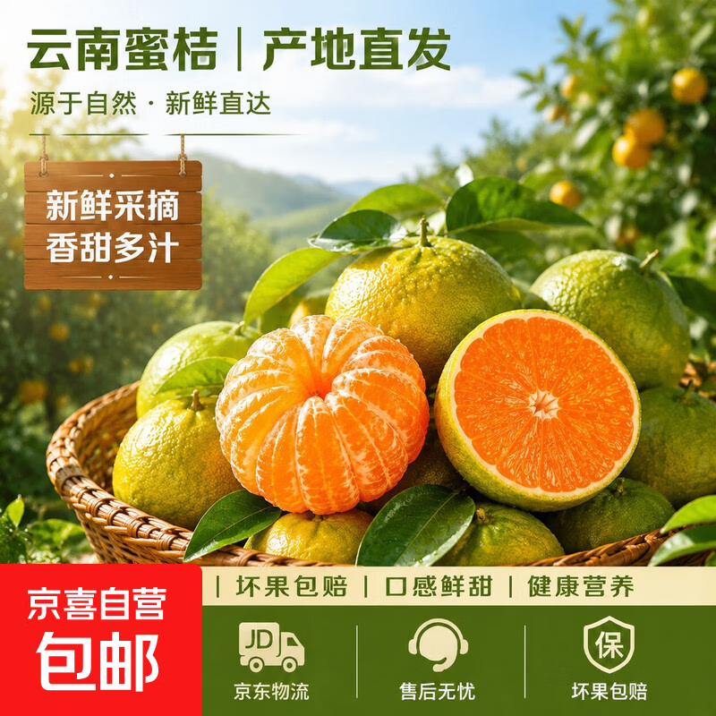 云南蜜桔 柑橘水果橘子 脆甜多汁 源头直发 水果生鲜蜜橘青橘 净重4.5斤 单果55mm+