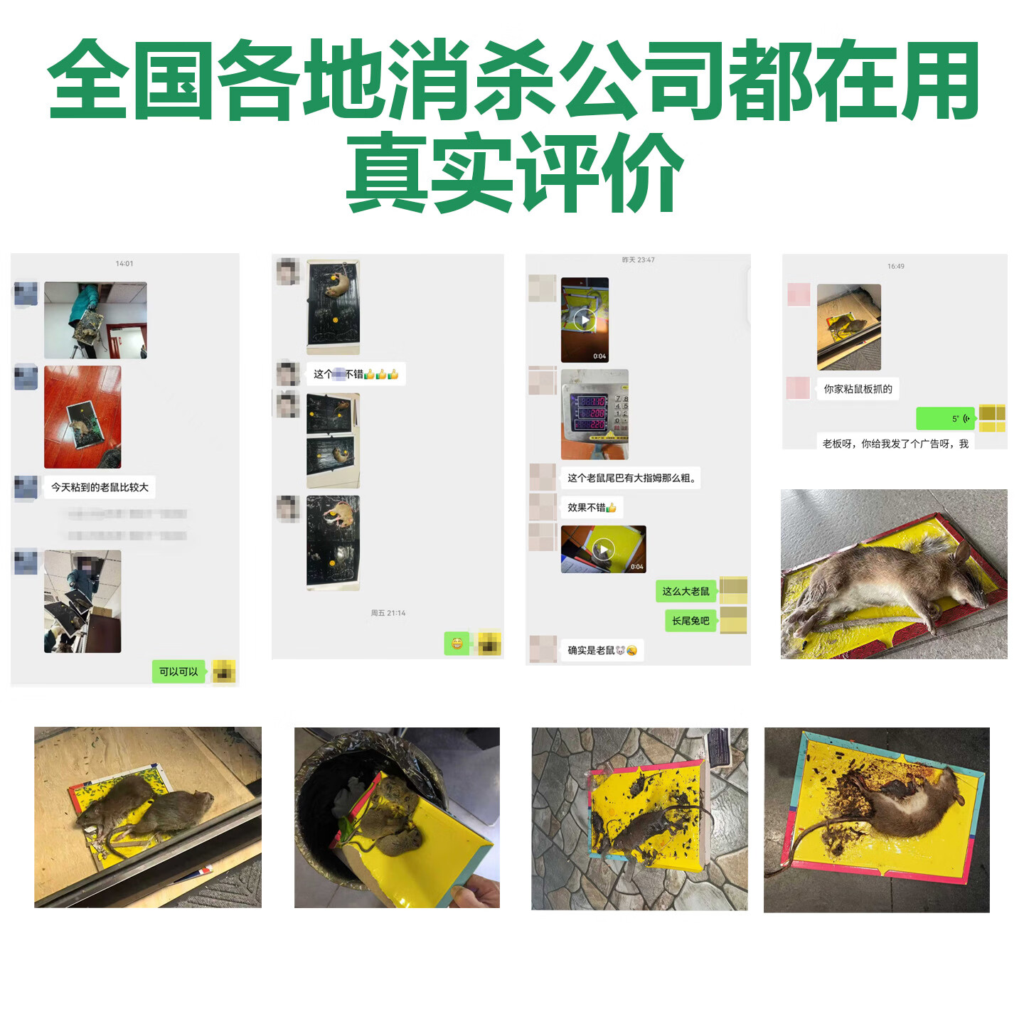 捕老鼠贴后厨灭鼠餐饮专用强力粘鼠板抓大老鼠扑捉灭鼠胶捕鼠神器 100张装 (赠送防水膜15张)