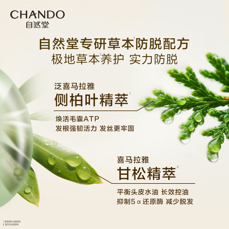 自然堂(CHANDO)洗发水【赵露思同款】控油蓬松洗发露 持久高颅顶去油洗头膏 强韧防脱洗发乳600g+蓬松洗发水50g